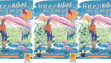 Découverte des oiseaux du littoral à l'anse de Paulilles